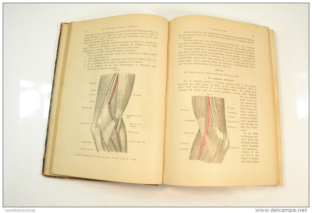 1884 lehrbuch der topographisch-chirurgischen. Livre de chirurgie, terminaisons nerveuses, amputation. Medecin WW1