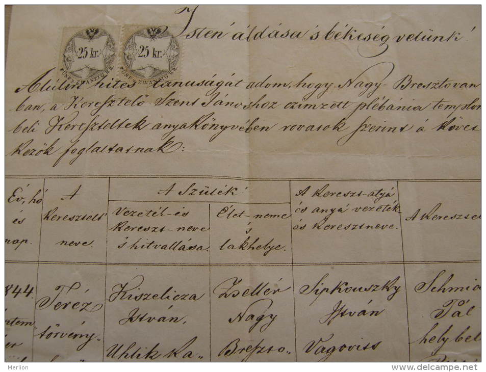 Old Document  1867 -Nagy-Bresztova - Brestova - Kiszelicza -Uhlik - Sipkovszky - Zsellér  TM003.7 - Nacimiento & Bautizo