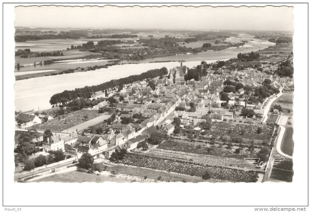 ST-DYE-SUR-LOIRE - Vue D'ensemble De La Cité - Other & Unclassified