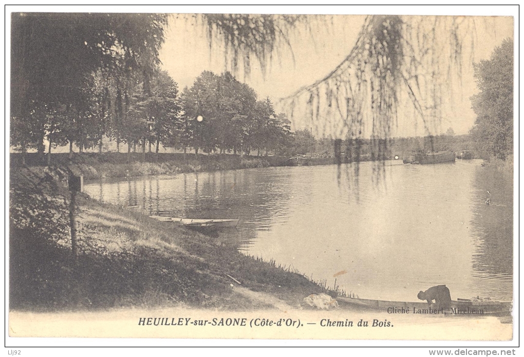 CPA 21 - HEUILLEY Sur SAONE (Côte D'Or)  - Chemin Du Bois - Autres & Non Classés