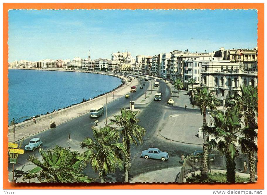 ALEXANDRIA. Corniche . Cars , Autos,autobus. Unused - Alexandria