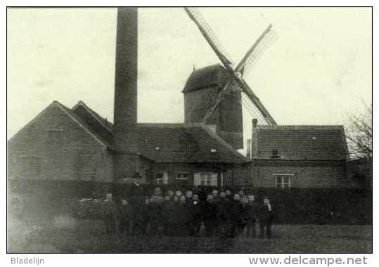 SINT-KATHERINA-LOMBEEK ~ Ternat (Vlaams-Brabant) - Molen/moulin - Molen De Neef In 1904 Met Schoorsteen Van Stoom Molen - Ternat