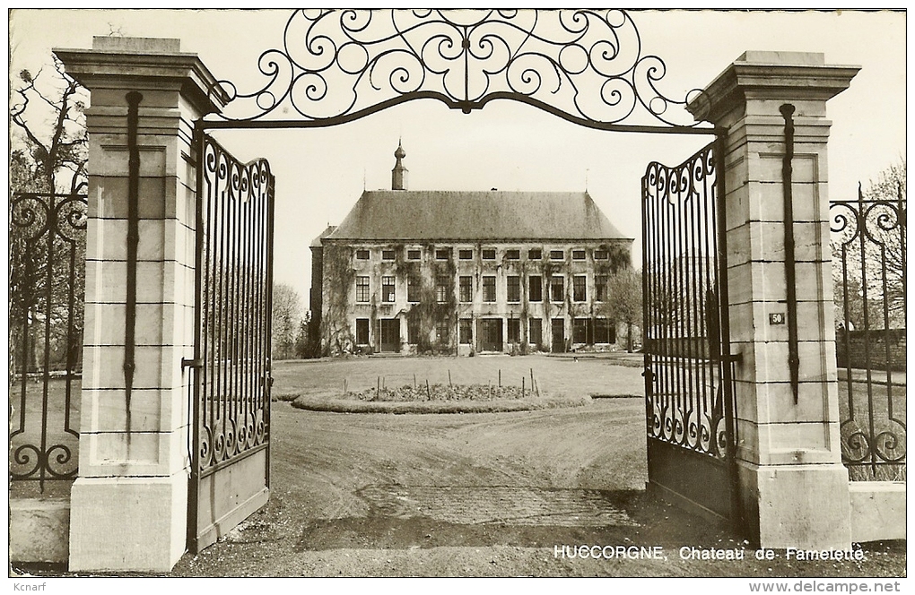 CP De HUCCORGNE " Château De Famelette " - Wanze