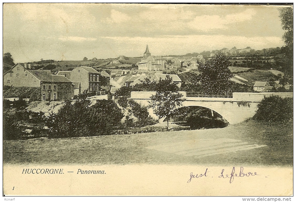 CP  De HUCCORGNE " Panorama " - Wanze