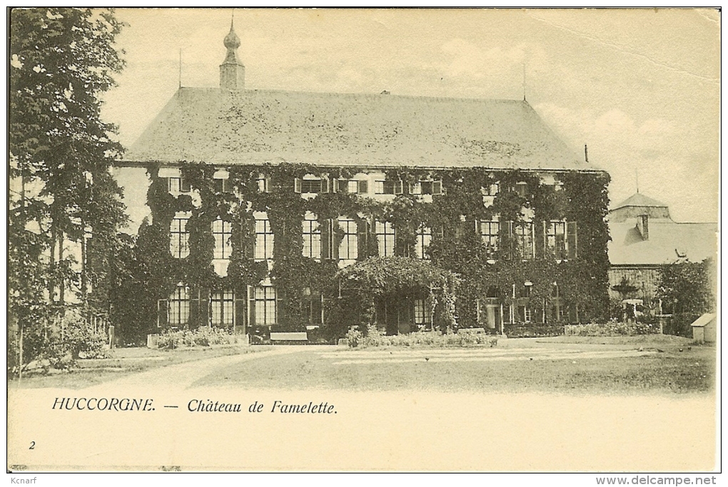 CP  De HUCCORGNE " Château De Famelette " - Wanze
