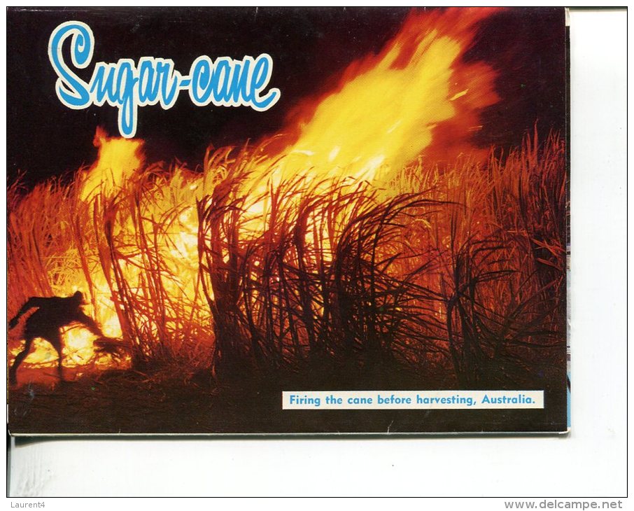 (Folder 39) Postcard Folder - QLD - Sugar Cane Industry - Burning - Far North Queensland