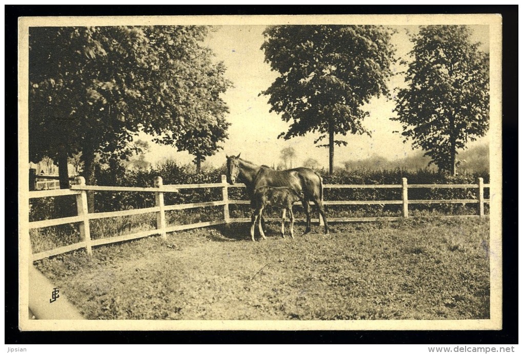 Cpa  Du 14 Le Haras D´ Ouilly  La Suisse Normande   ..   Condé Sur Noireau    MABT13 - Pont D'Ouilly