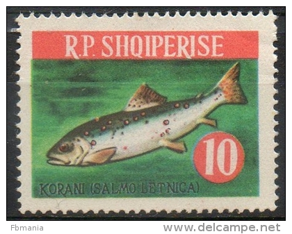 Albania 1964 - Trota Del Lago Ohrid, Lake Ohrid Trout Pesci Fish MNH ** - Albanien