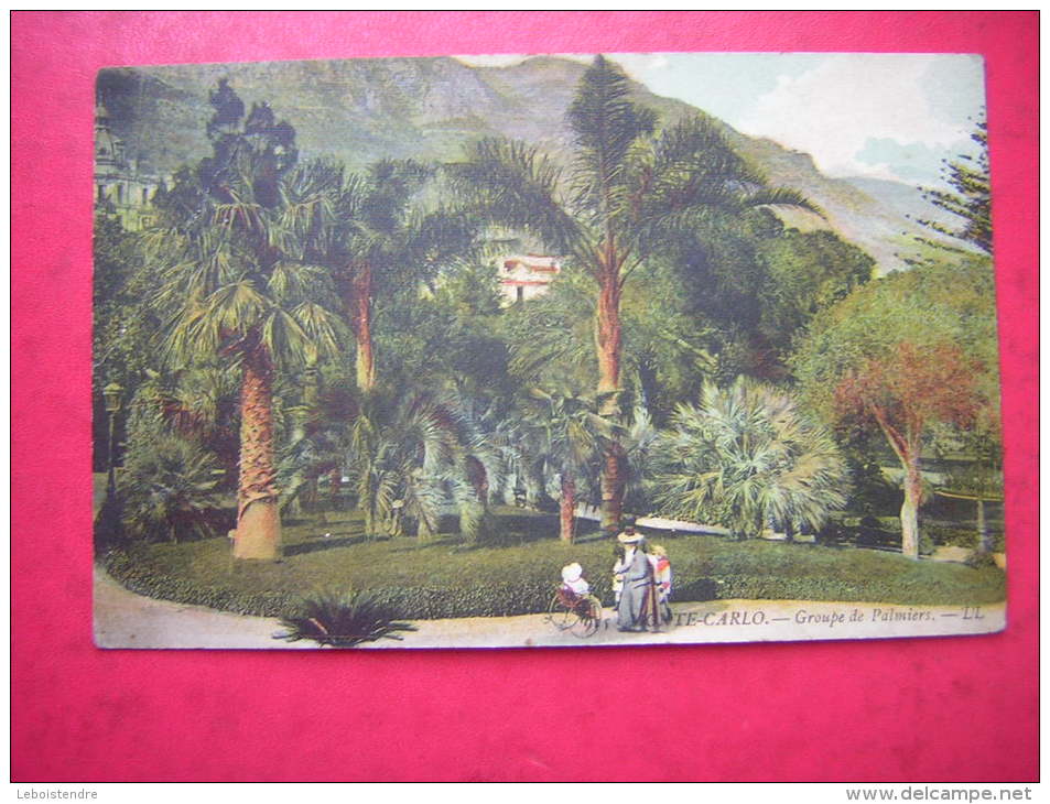 CPA MONTE CARLO  GROUPE DE PALMIERS  ANIMEE EN PETIT  VOYAGEE 1908   TIMBRE MONACO - Exotische Tuin