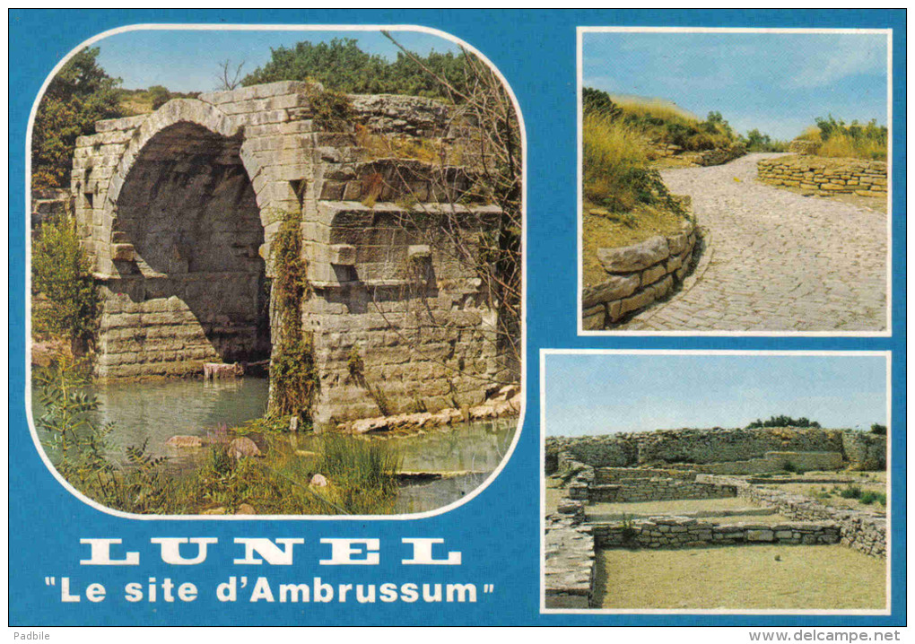 Carte Postale 34. Lunel  Site De Fouilles Archéologique D'Ambrussum  Trés Beau Plan - Lunel