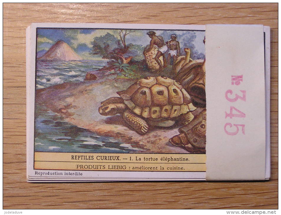 REPTILES CURIEUX 345 Turtle Tortue Liebig Série Complète De 6 Chromos Trading Cards Chromo - Liebig