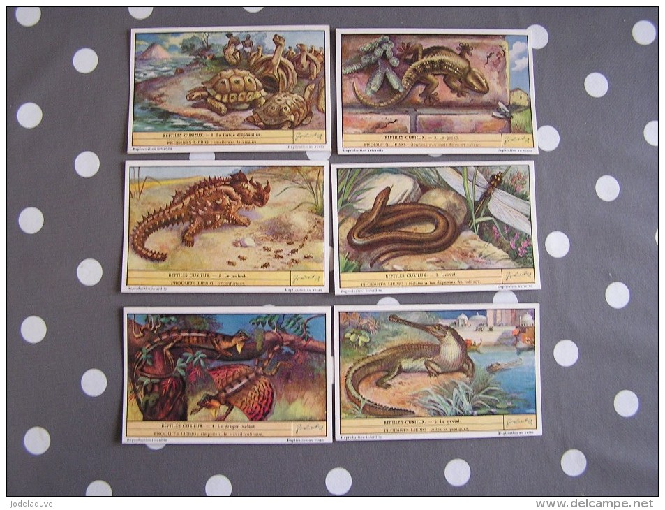 REPTILES CURIEUX 345 Turtle Tortue Liebig Série Complète De 6 Chromos Trading Cards Chromo - Liebig