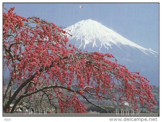 JAPON. Magnifique Calendrier  Japonais Mont Fuji 2014.  Trois Photos - Autres & Non Classés