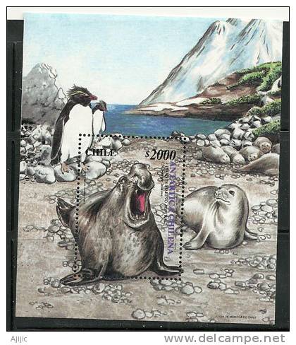 CHILI. L'éléphant De Mer Austral. Un BF Neuf ** Nr 63.  Cote 16,00 € - Antarctische Fauna