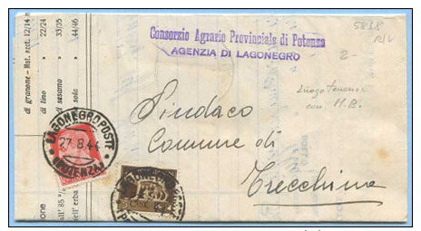 1944 LUOGOTENENZA IMPERIALE C. 5+20 SPLENDIDO DOCUMENTO AGRARIO POTENZA 1.9.44 MARCHE DA BOLLO X TRECCHINA (5818) - Storia Postale