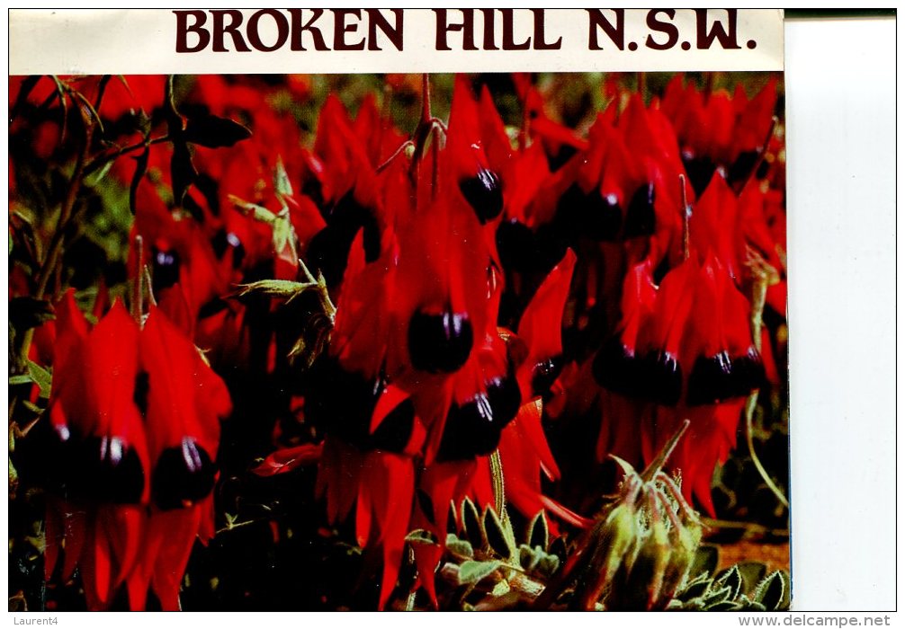 (folder 37)  Australia Folder Postcard - NSW - Broken Hill - Broken Hill