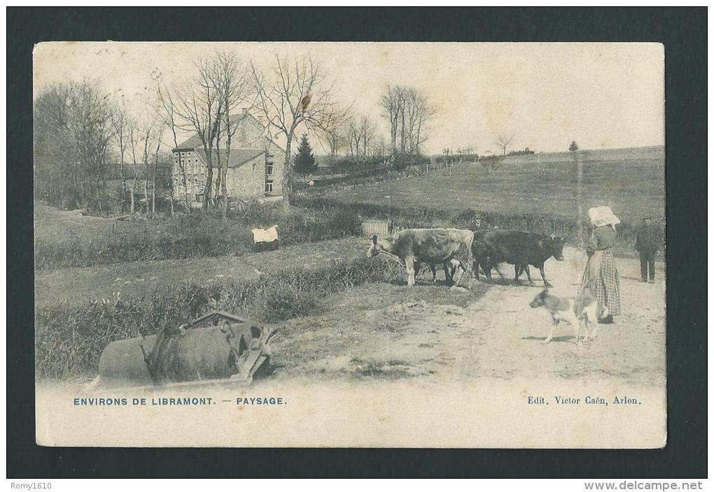 Environs De Libramont. Paysanne, Bêtail, Outils Agricoles. Voyagée En 1907. - Libramont-Chevigny