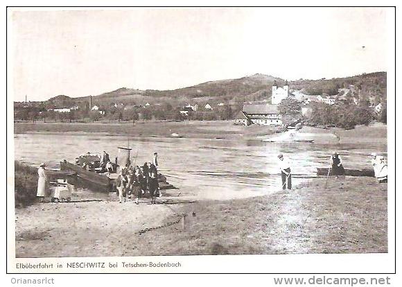 67922) Cartolina Di Elbuberfahrt In Neschwitz Bei Tetschen - Bodenbach - Viaggiata - Boehmen Und Maehren