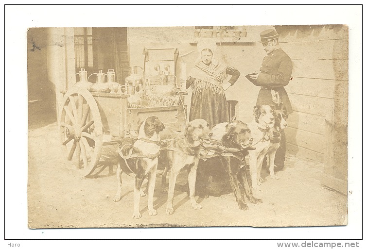 Laitière Flamande, Attelage à 5 Chiens - Ancienne Reproduction - Photo (10,5 X 16,5 Cm) Collée Sur Carton (sf83) - Andere & Zonder Classificatie