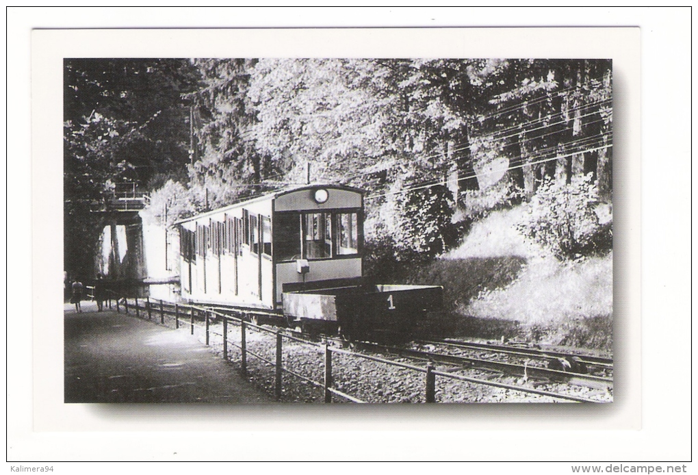 FUNICULAIRE  D' EVIAN - NEUVECELLE  ( En 1955 ) /  LE  VEHICULE  1  EN  LIGNE  /  CPM  édition  2002 - Funicular Railway