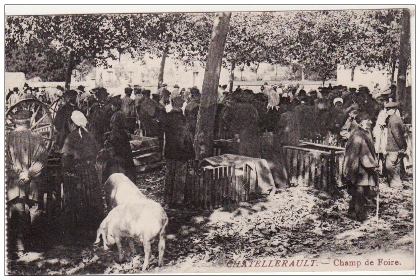 CHATELLERAULT  -  Champ De Foire (Marché Aux Cochons) - Chatellerault