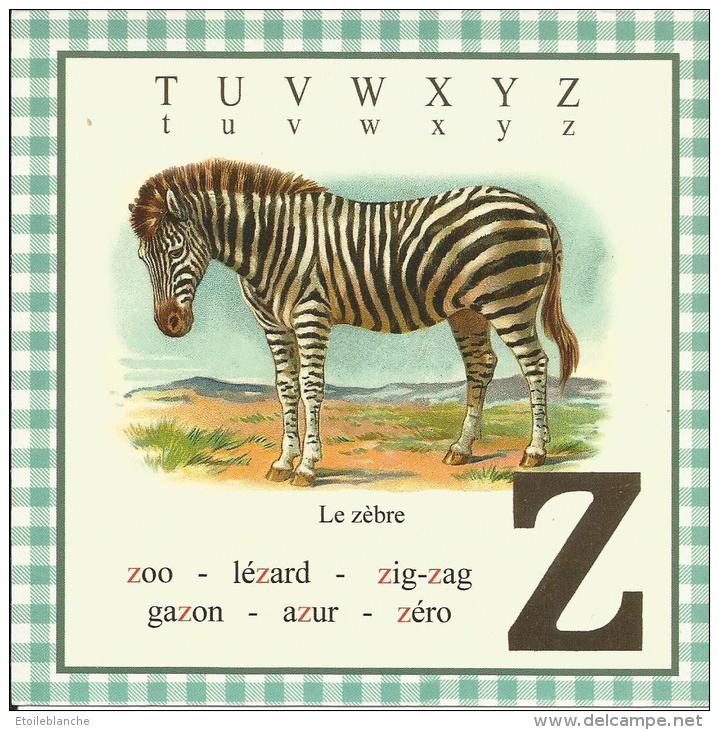 Animal, Zèbre / Lettre Alphabet Z / Mot, Apprentissage De La Lecture, Illustré - Zebras