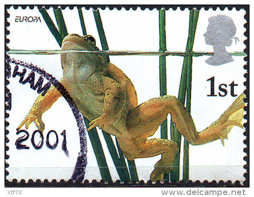 GREAT BRITAIN 2001 Pond Life: 1st Class NVI Common Frog - Used Stamps