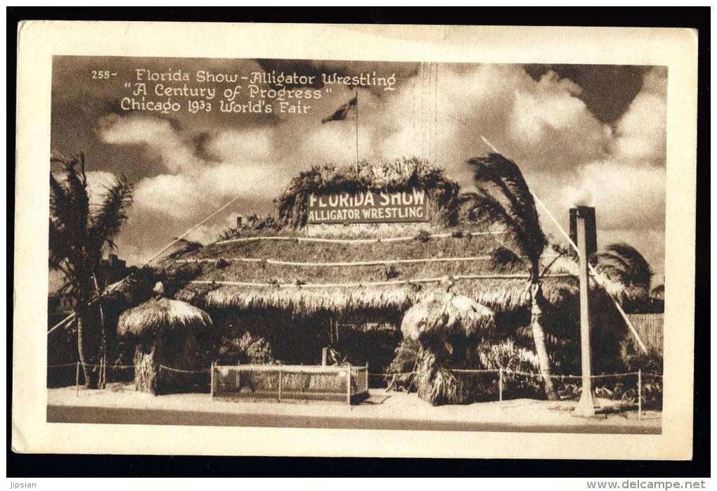 Cpa  USA  Chicago  Florida Show -- Alligator Wrestling -- Chicago 1933 World's Fair   APJ18 - Chicago