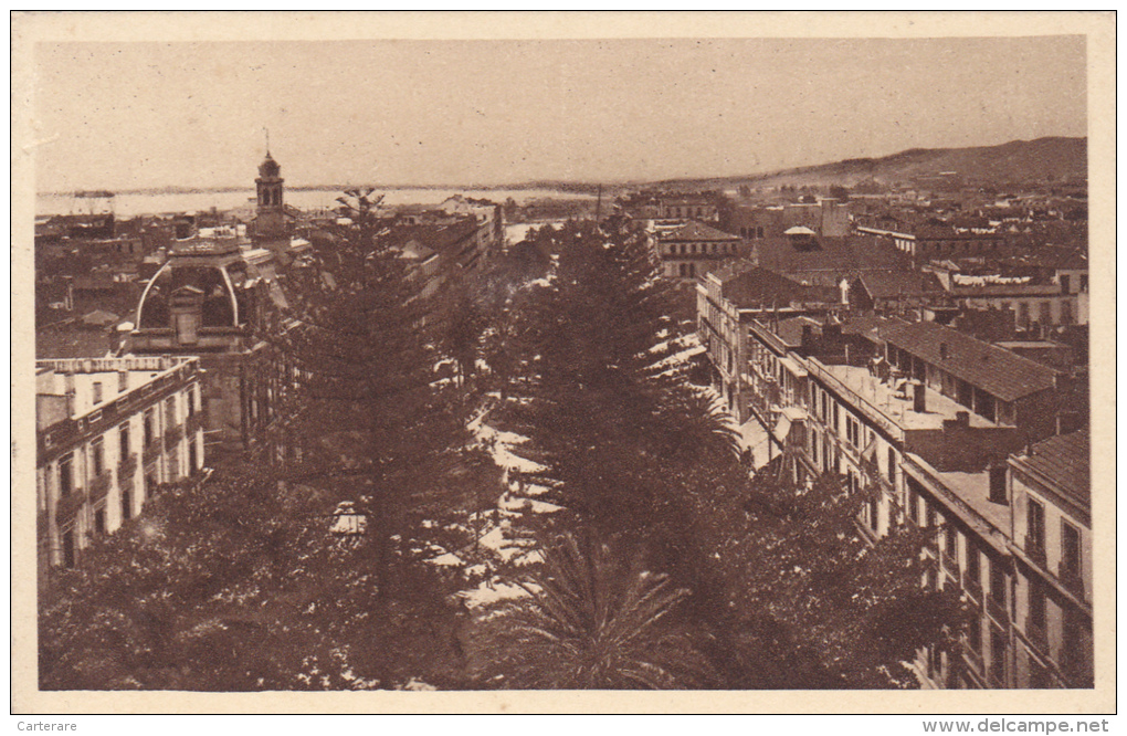 Carte Postale Ancienne,algérie Française,colonie,Maghreb ,BONE,ANNABA,en 1930,COURS BERTAGNA - Annaba (Bône)