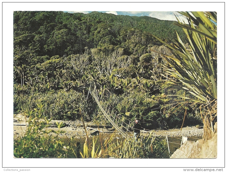 Cp, Nouvelle Zélande, Heapy Track, Swing Bridge Over Kohaihai River, Voyagée - New Zealand