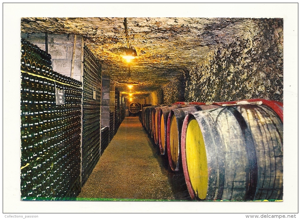 Cp, Agriculture, Val De Loire, Caves Dans Le Roc - Vines