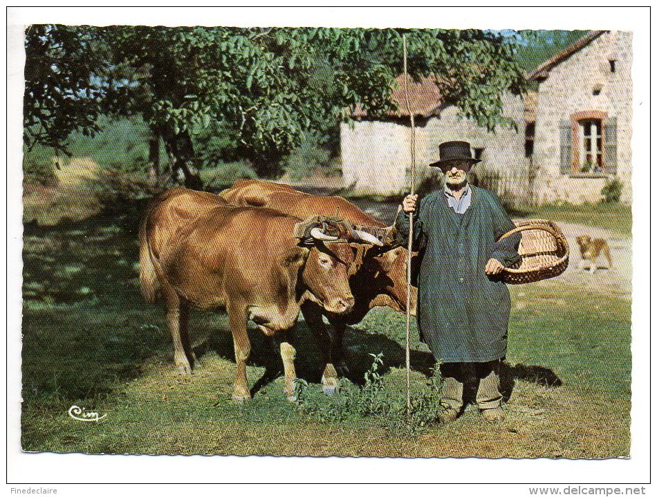 Paysan Limousin - CIM - Costumi