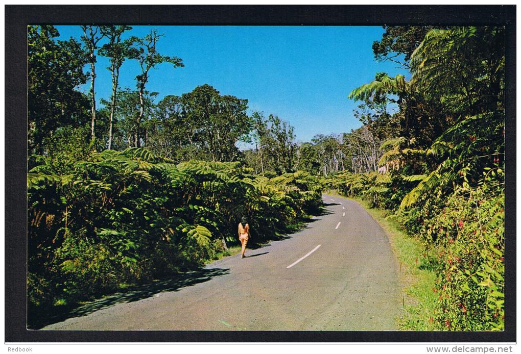 RB 951 - USA Postcard - Fern Forest Hawaii Volcanoes National Park - Big Island Of Hawaii