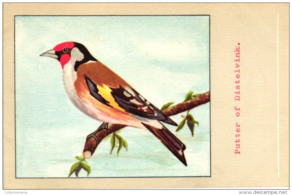 60 cards SLUIS advertising bird sead, vogelzaad grains pour oiseaux - coloured postcards