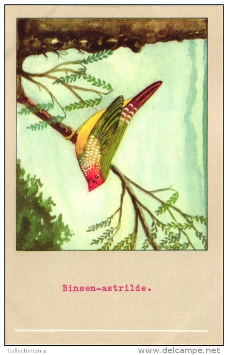 60 cards SLUIS advertising bird sead, vogelzaad grains pour oiseaux - coloured postcards