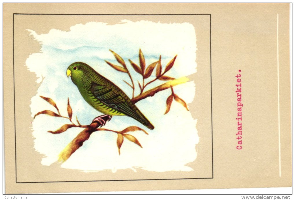 60 cards SLUIS advertising bird sead, vogelzaad grains pour oiseaux - coloured postcards