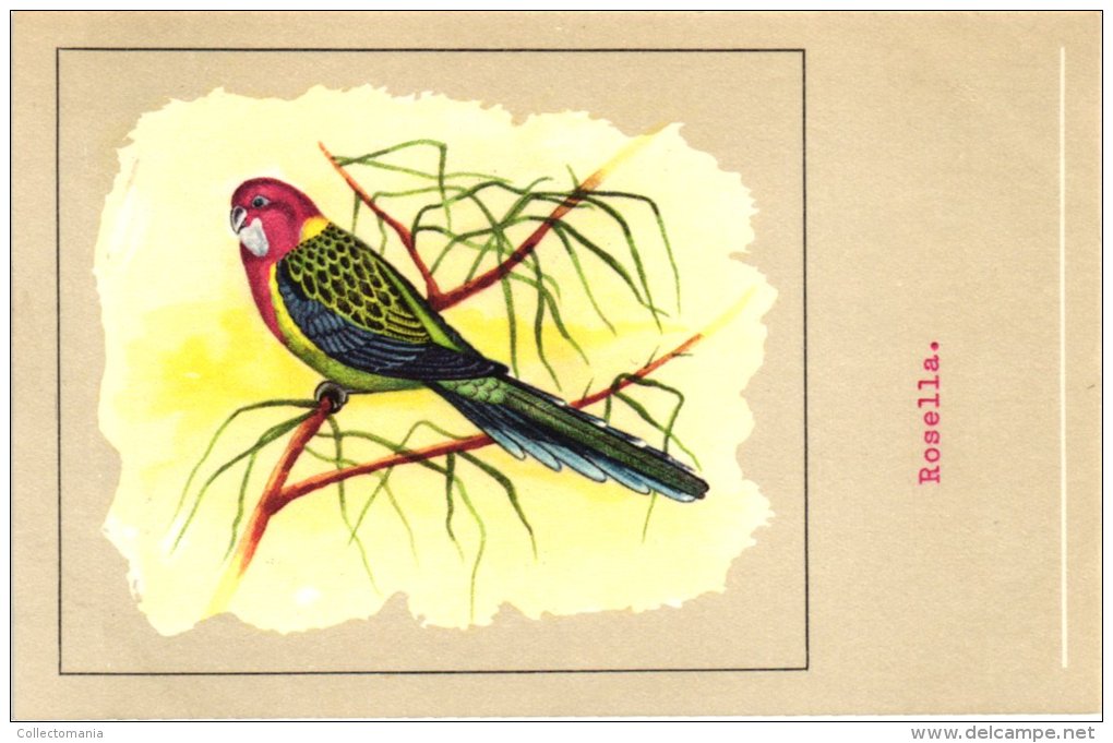 60 cards SLUIS advertising bird sead, vogelzaad grains pour oiseaux - coloured postcards