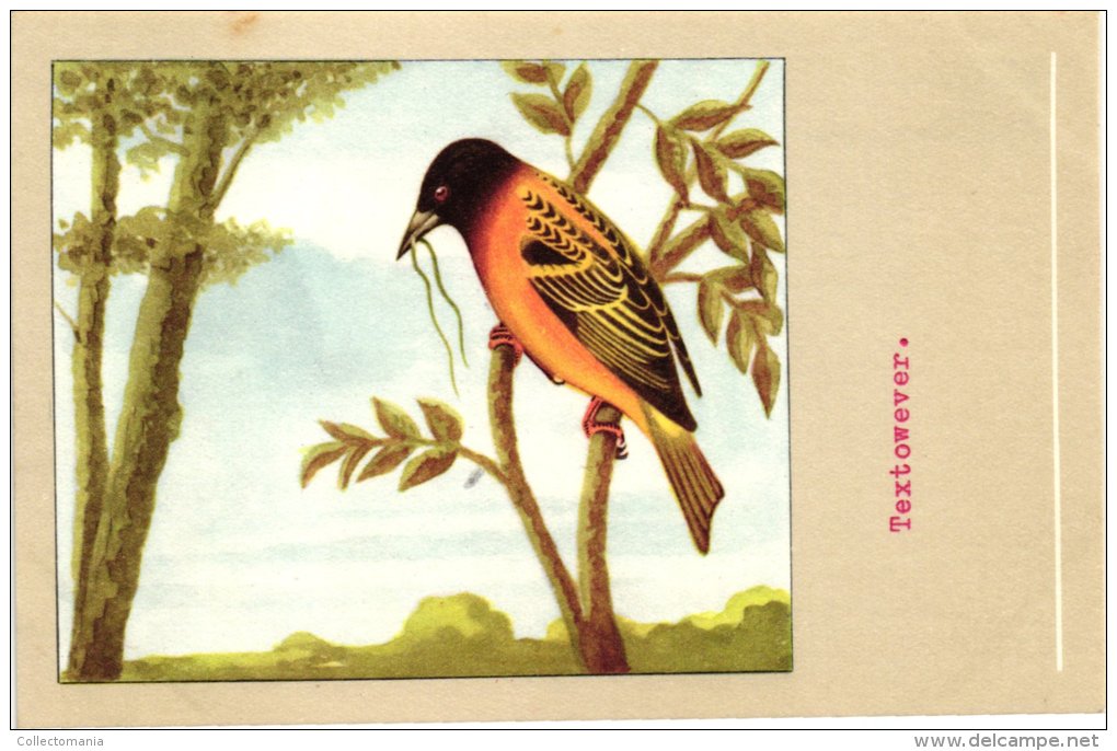 60 cards SLUIS advertising bird sead, vogelzaad grains pour oiseaux - coloured postcards