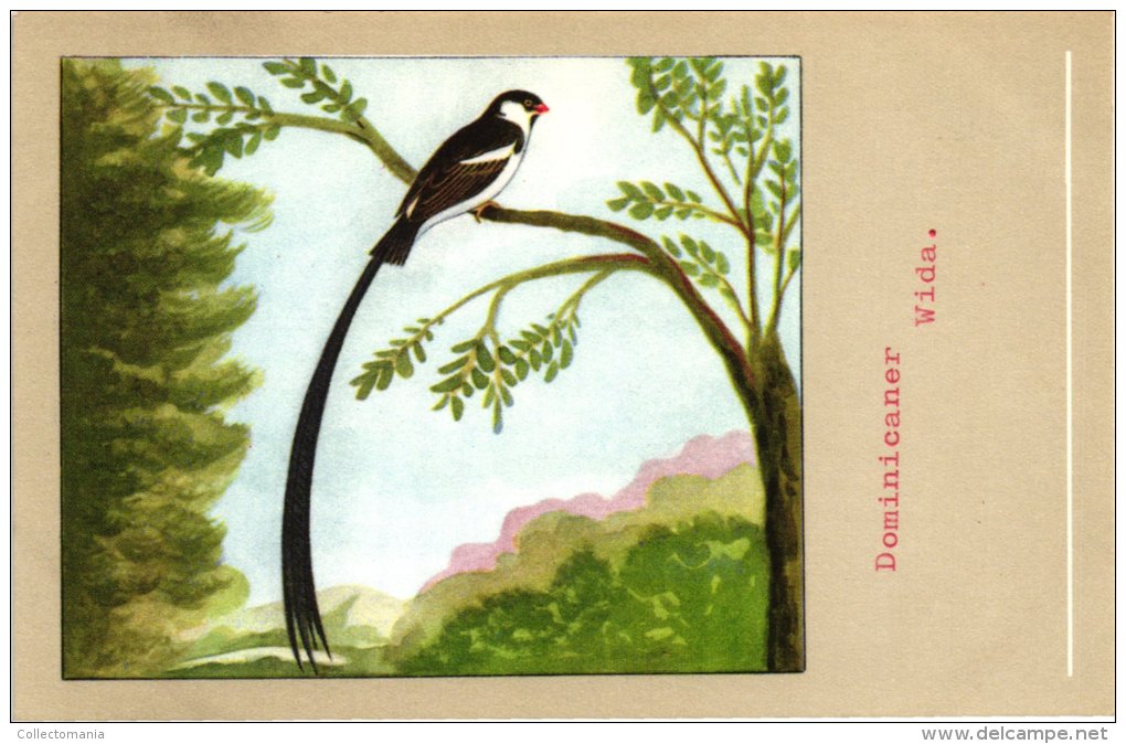60 cards SLUIS advertising bird sead, vogelzaad grains pour oiseaux - coloured postcards
