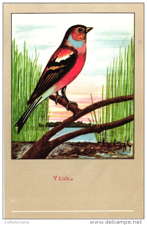 60 cards SLUIS advertising bird sead, vogelzaad grains pour oiseaux - coloured postcards