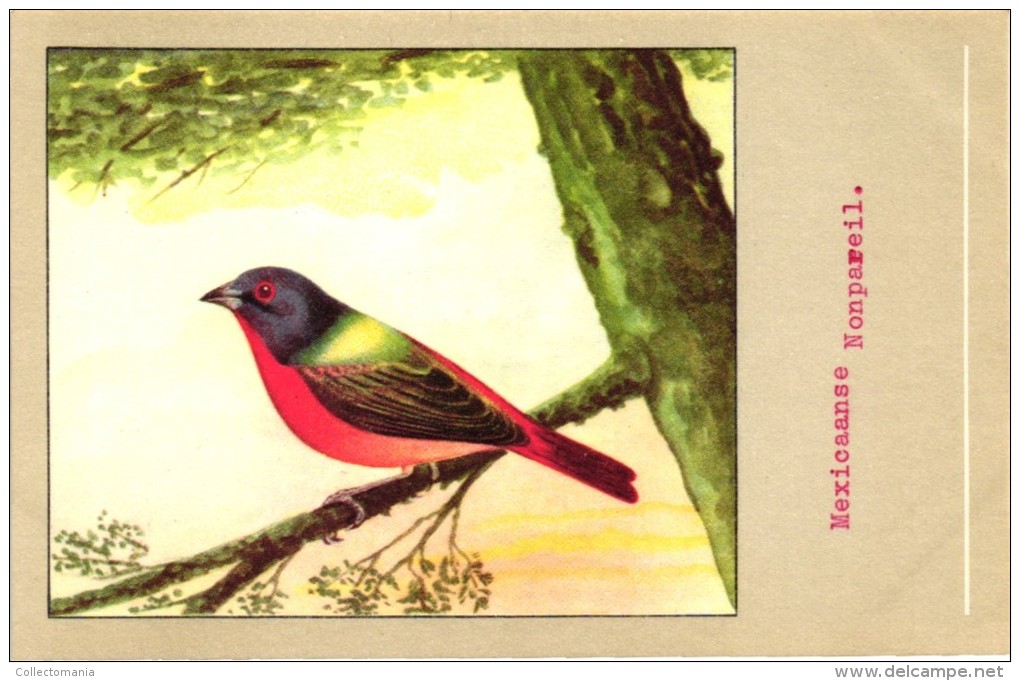 60 cards SLUIS advertising bird sead, vogelzaad grains pour oiseaux - coloured postcards