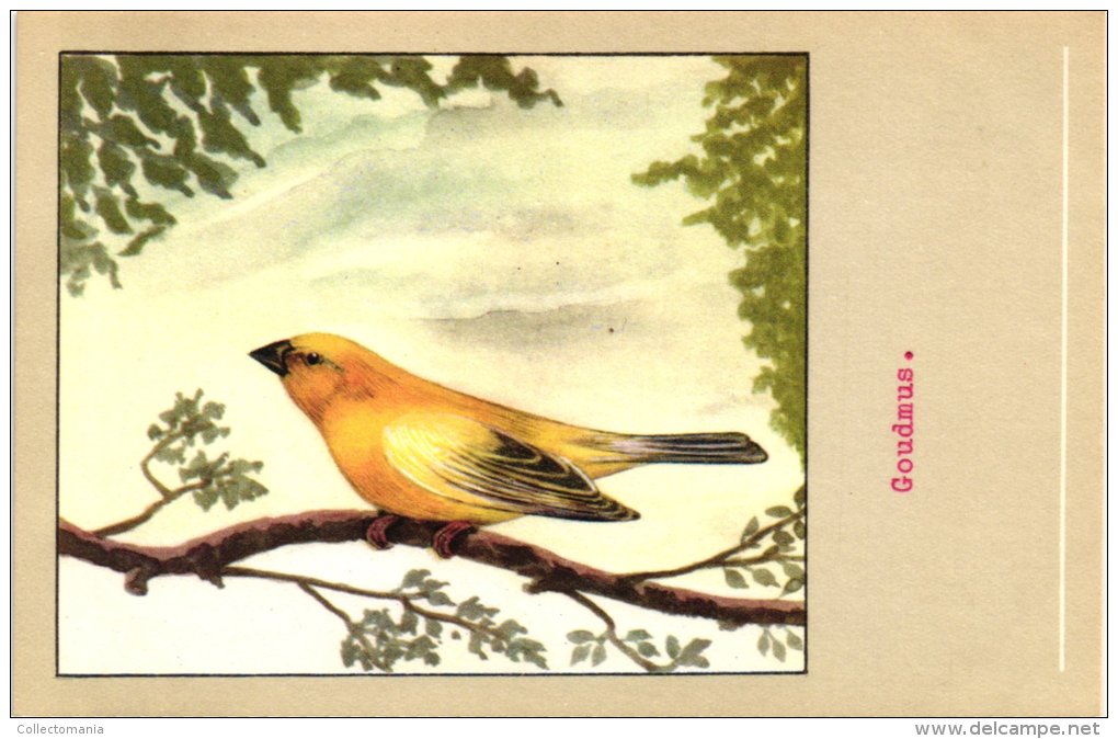 60 cards SLUIS advertising bird sead, vogelzaad grains pour oiseaux - coloured postcards