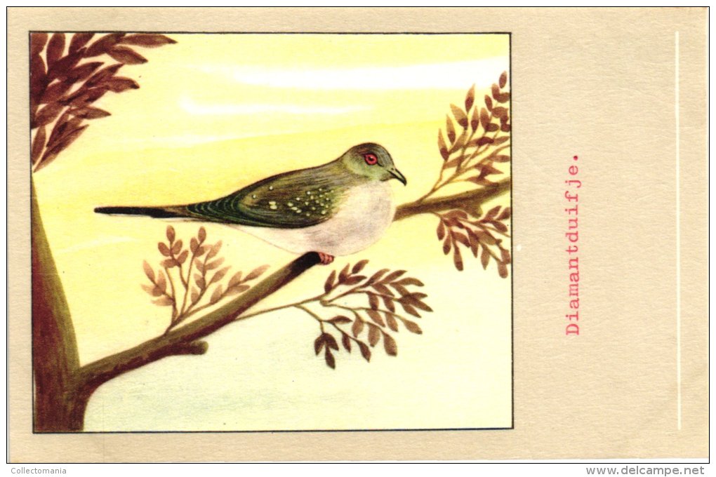 60 cards SLUIS advertising bird sead, vogelzaad grains pour oiseaux - coloured postcards