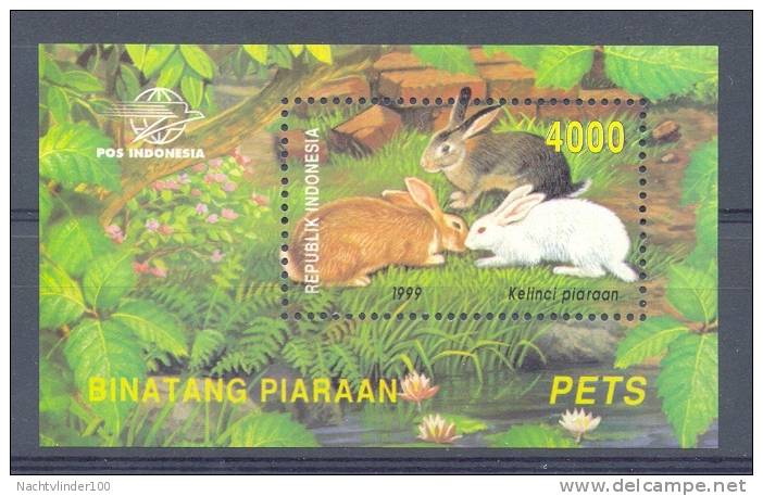 Mgm2025 FAUNA KNAAGDIEREN KONIJN RODENTS PETS RABBIT INDONESIA 1999 PF/MNH  VANAF1EURO - Rodents