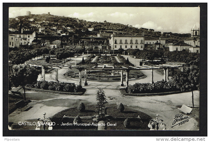 CASTELO BRANCO (Portugal) - Jardim Municipal Aspecto Geral - Castelo Branco