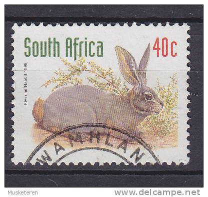 South Africa 1998 Mi. 1103 A     40 C Rabbit Buschmannhase - Oblitérés