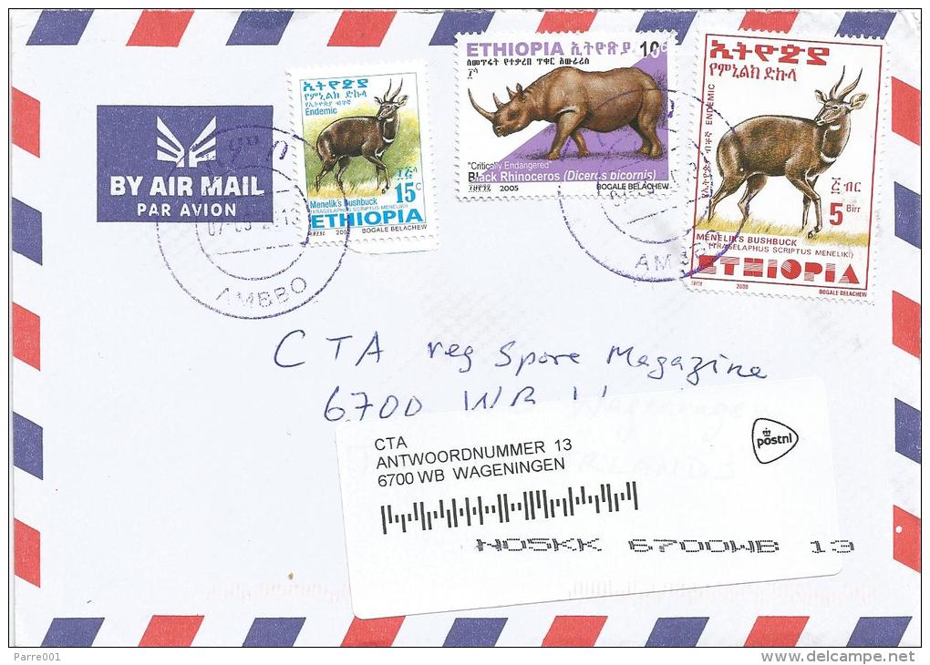 Ethiopia 2013 Ambbo Antilope Bushbuck Rhinoceros Cover - Etiopia