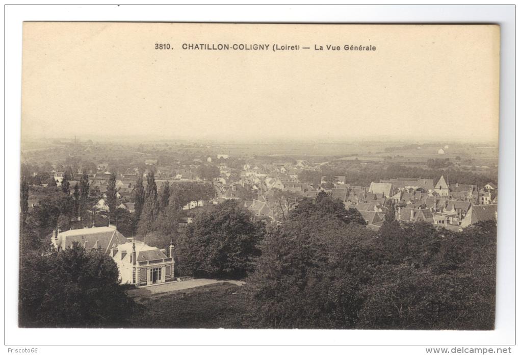 Chatillon Coligny Vue Générale - Chatillon Coligny