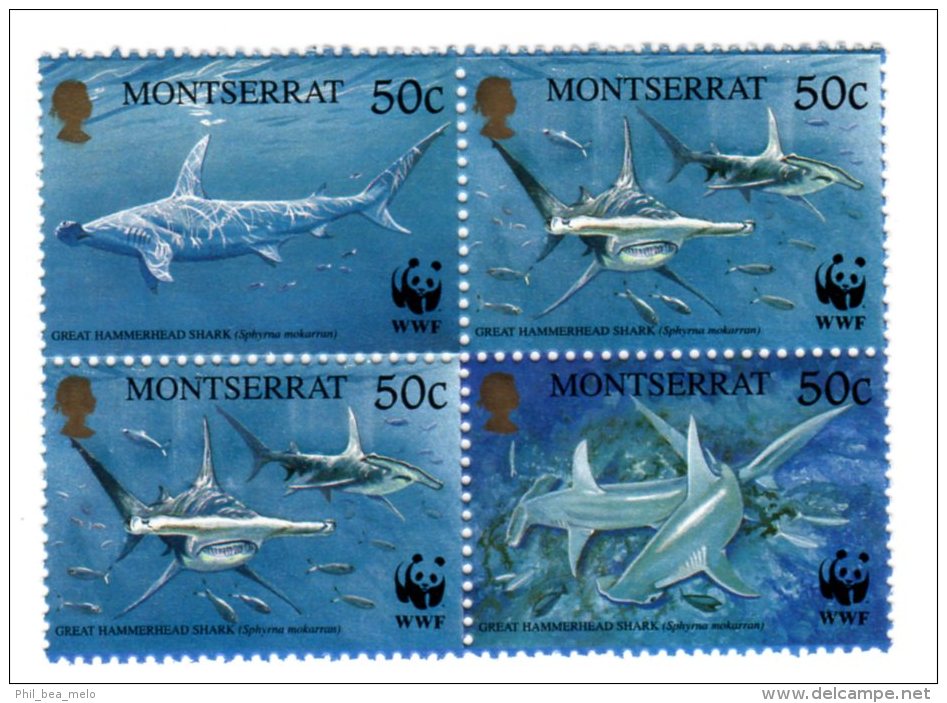 TIMBRE - MONTSERRAT - LOT 4 TIMBRES REQUINS / SQUALES - NEUFS - Yv. N°1016/19 - Montserrat