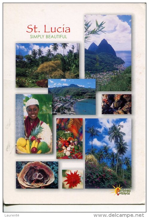 (222) St Lucia Island  - Multiview - Saint Lucia